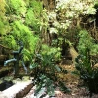 Vivarium contenant un reptile provenant d'Afrique à Aquatis Lausanne