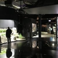 Mise en scène du continent asiatique à Aquatis Lausanne