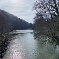 L'Aubonne à l'Arboretum