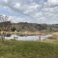 Petit étang de l'Arboretum à la fin de l'hiver