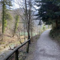 Sentier longeant l'Aubonne à l'Arboretum