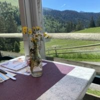 Vue du restaurant de la Cabane du Petit Oiseau
