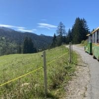 Balade en petit train de la Cabane du Petit Oiseau