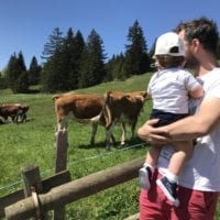 Vaches de la Cabane du Petit Oiseau