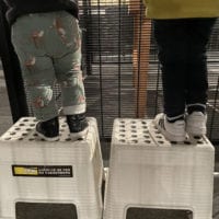 Enfants montés sur les marche-pieds pour observer la maquette du CFK