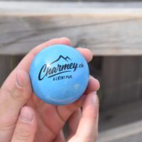 Souvenir de Charmey