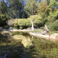 Sculptures d'animaux marins au Parc Dino-Zoo de Charbonnieres Les Sapins