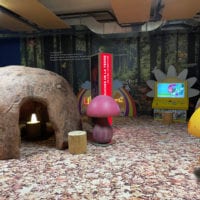 Ateliers sur la forĂȘt Ă Explorit Yverdon