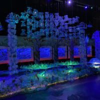 Exposition temporaire du Museum d'Histoire Naturelle de Genève