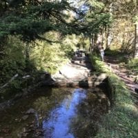 La pisciculture
