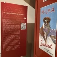L'image du saint bernard utilisé par Suchard