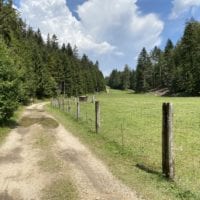 Chemin vers les bisons Ă Juraparc