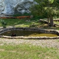 Enclos des ours de Juraparc