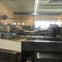 Ligne de production des palmiers à observer à la Fabrique de Champagne