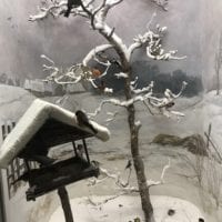 Diorama avec oiseaux au Muséum d'histoire naturelle de Neuchâtel
