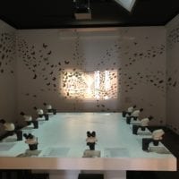 Espace insectes au Muséum d'histoire naturelle de Neuchâtel