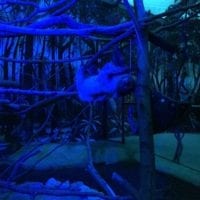 Papiliorama Fribourg