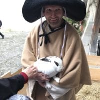 Lapin au Château de Chillon