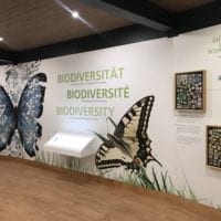 Papiliorama Fribourg