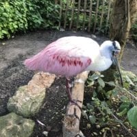 Papiliorama Fribourg