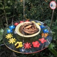 Papiliorama Fribourg
