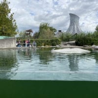 Etang des pingouins au zoo Knie