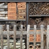 Détails des ruches à la ferme du zoo