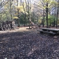 Aire de pique-nique dans le bois de Sauvabelin Ă Lausanne en Automne