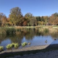 Lac de Sauvabelin Ă Lausanne en Automne