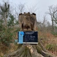Sculpture de hiboux en bois