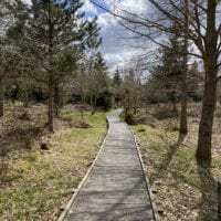 Passerelle dans la forĂȘt du sentier handicap et nature