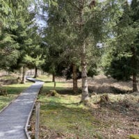 Passerelle parcourant la forĂȘt du sentier handicap et nature