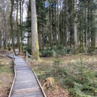 Passerelle Ă travers la forĂȘt du sentier handicap et nature