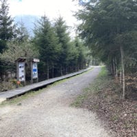 Passerelle dans la forĂȘt du sentier handicap et nature
