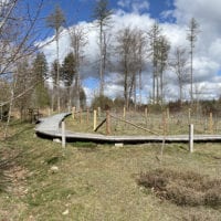 Passerelle Ă travers l'arboretum du sentier handicap et nature