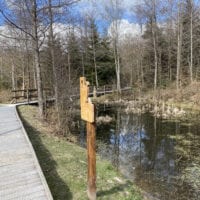 Passerelle longeant un Ă©tang dans la forĂȘt du sentier handicap et nature
