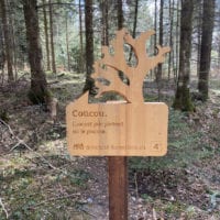 Panneau explicatif dans la forĂȘt du sentier handicap et nature