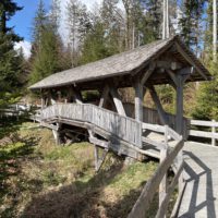 Pont des brigands dans la forĂȘt du sentier handicap et nature