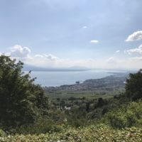 Vue panoramique sur le Léman - signal de bougy