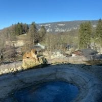 Lionne au Sikypark