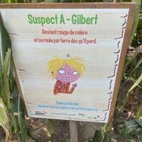 Profil d'un suspect Ă Urba Byrinthe