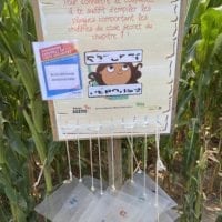 Enigme mystĂšre Ă Urba Byrinthe