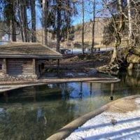 Petit étang au zoo du bois du petit chùteau
