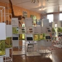 l'exposition temporaire
