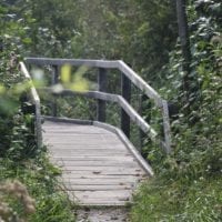 le sentier du centre nature