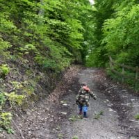 chateau_illens_montée_foret