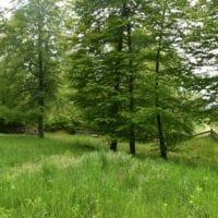 chateau_illens_place_pique_nique