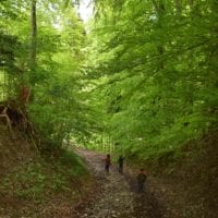 chateau_illens_sentier