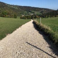 chemin à travers les pâturages