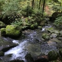 La rivière qui serpente entre les pierres